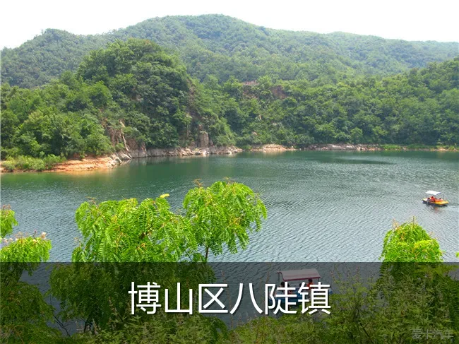 博山区八陡镇