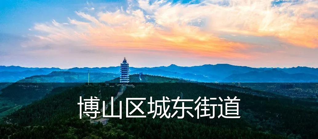 博山区城东街道